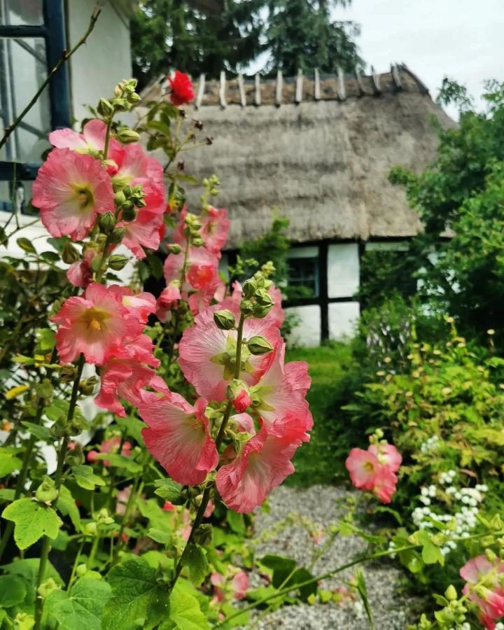 Plantepressen B&B Faaborg Ngoại thất bức ảnh